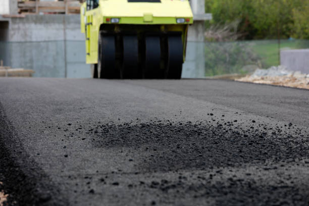 Best Driveway Pavers Near Me  in Holbrook, AZ